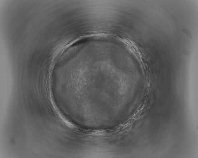 X0000111670097200908141437