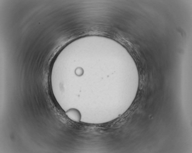 X0000111670098200908141437