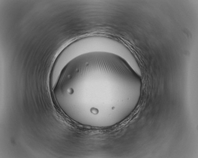 X0000111670100200908141437