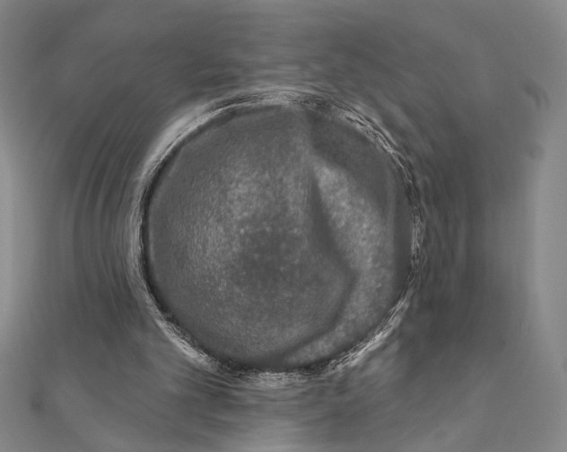 X0000111670101200908141437