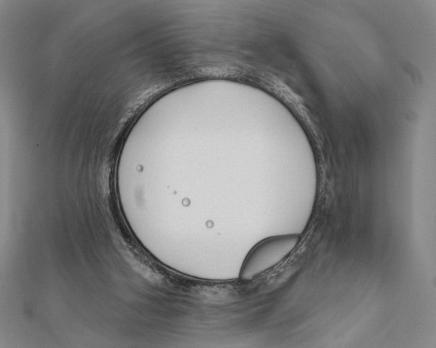 X0000111670106200908141437