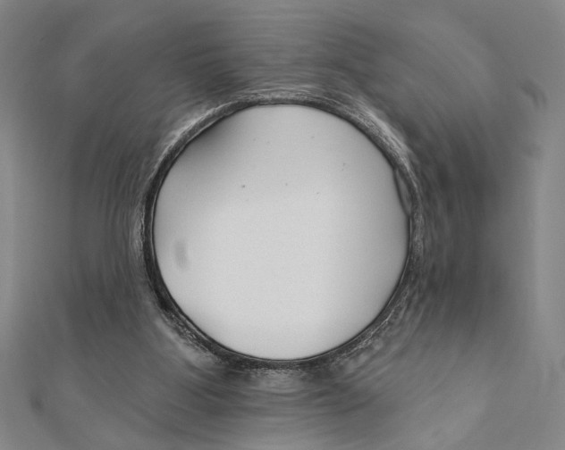 X0000111670107200908141437