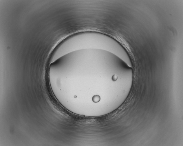 X0000111670108200908141437