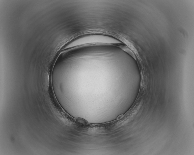 X0000111670109200908141437