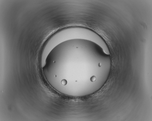 X0000111670112200908141437