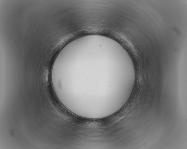 X0000111670115200908141437