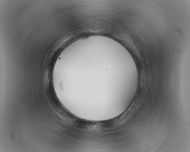 X0000111670116200908141437