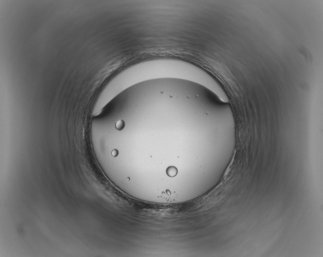 X0000111670120200908141437