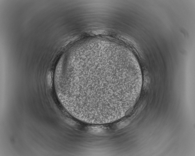 X0000111670121200908141437