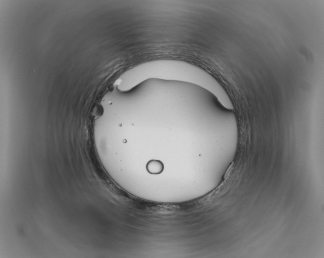 X0000111670128200908141437