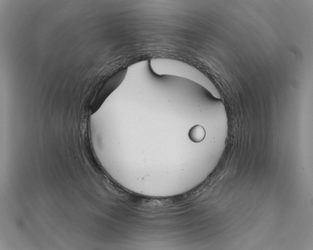 X0000111670129200908141437