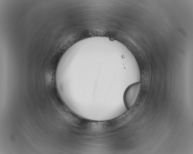 X0000111670134200908141437