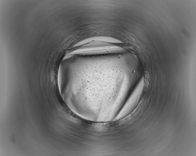 X0000111670136200908141437