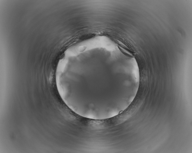 X0000111670139200908141437