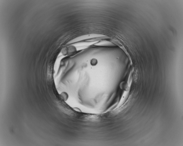 X0000111670140200908141437