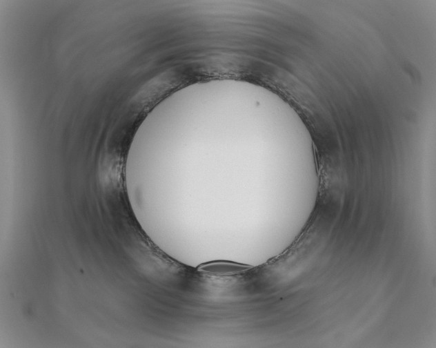 X0000111670141200908141437