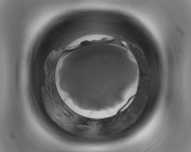 X0000111670143200908141437