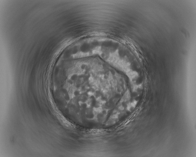 X0000111670145200908141436