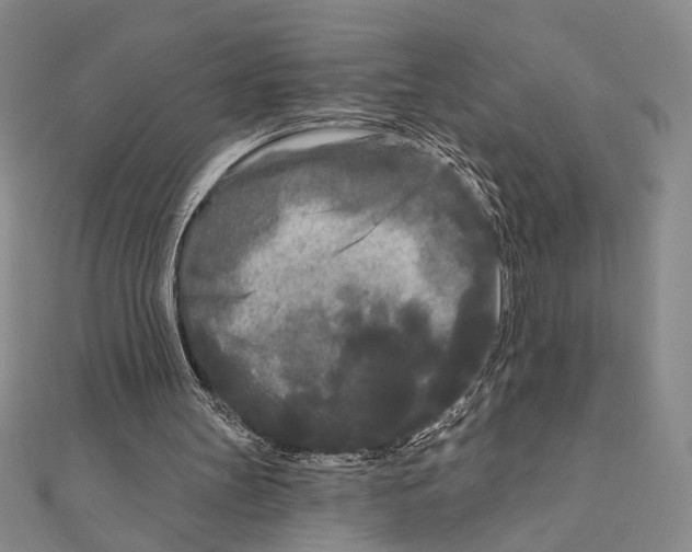 X0000111670147200908141436