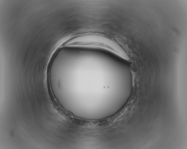 X0000111670148200908141436