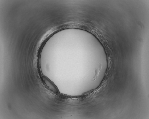 X0000111670150200908141436