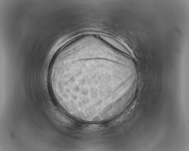 X0000111670151200908141436