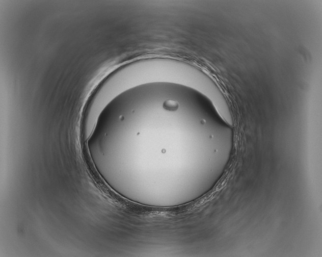 X0000111670152200908141436