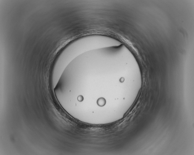 X0000111670154200908141436