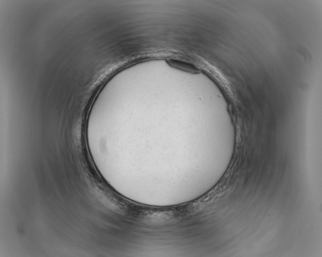 X0000111670155200908141436