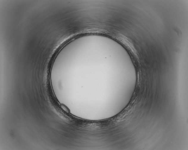 X0000111670156200908141436