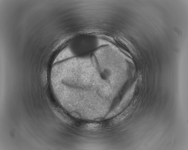 X0000111670158200908141436