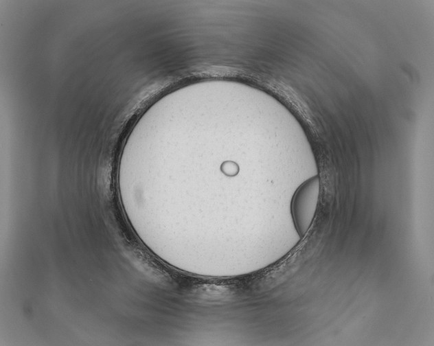 X0000111670159200908141436