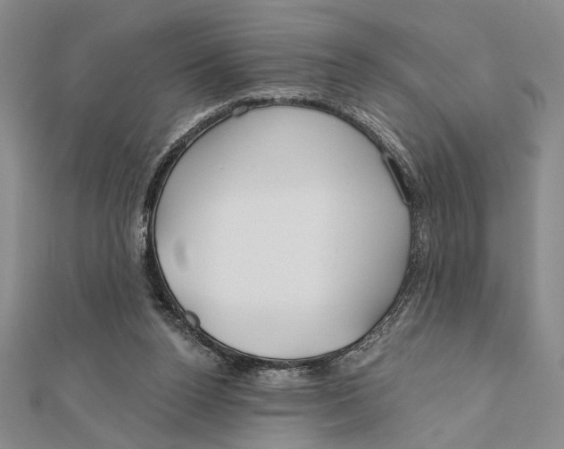 X0000111670160200908141436