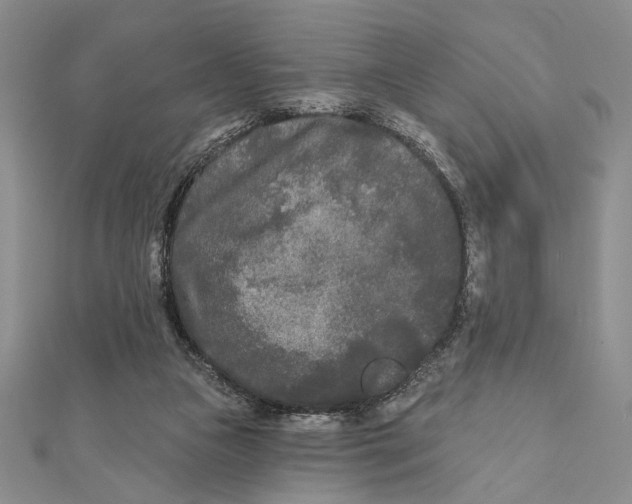 X0000111670161200908141436