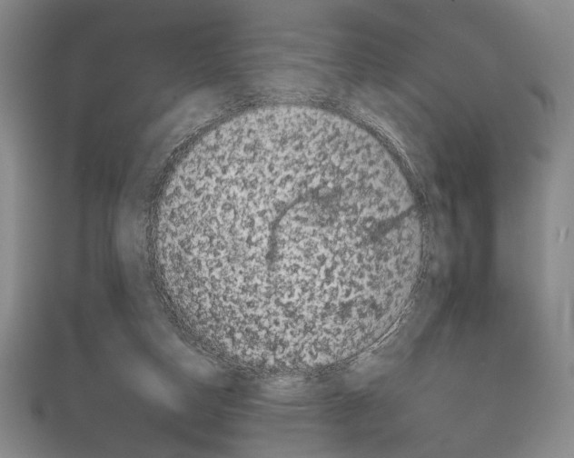 X0000111670162200908141436