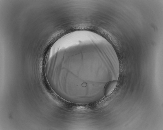 X0000111670163200908141436