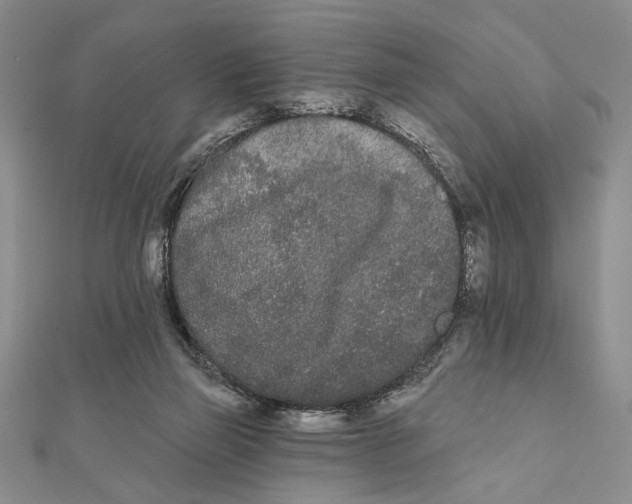 X0000111670165200908141436