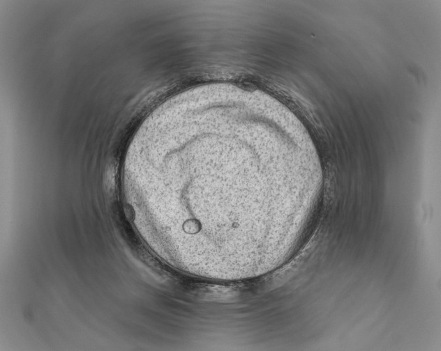 X0000111670166200908141436