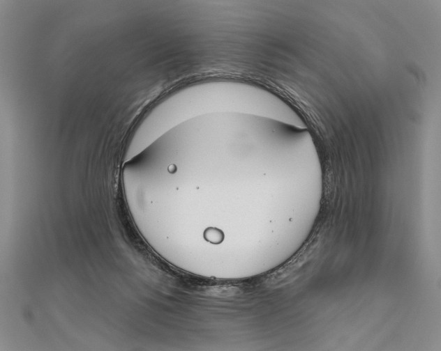 X0000111670168200908141436