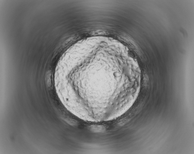 X0000111670169200908141436