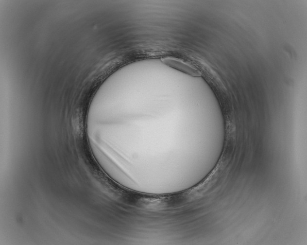 X0000111670170200908141436