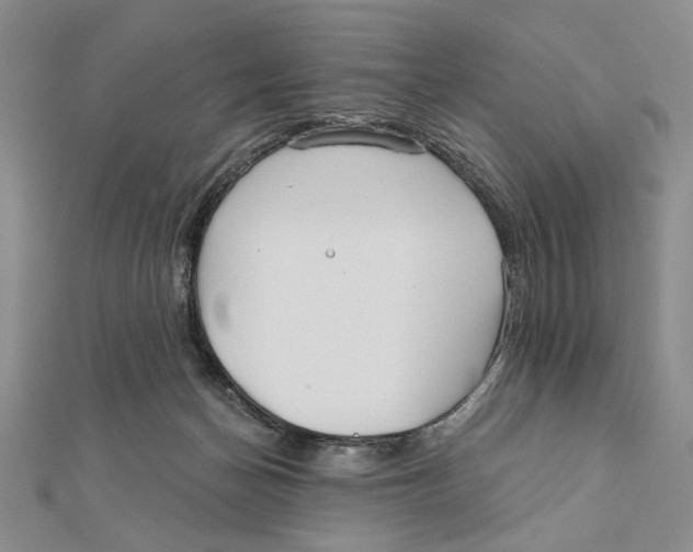 X0000111670174200908141436