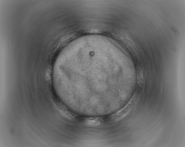 X0000111670175200908141436