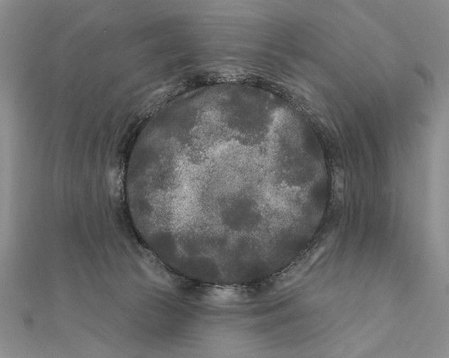 X0000111670177200908141436