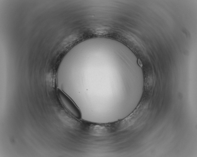 X0000111670180200908141436