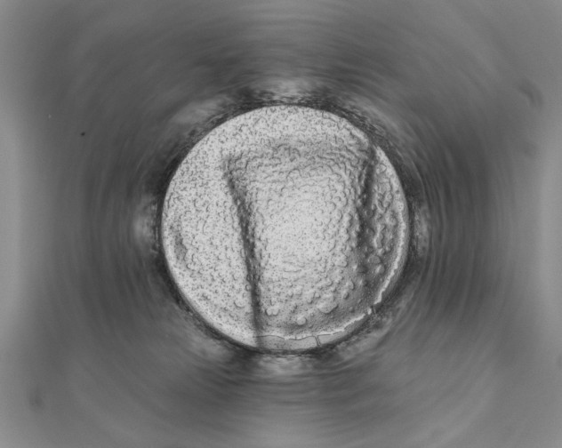 X0000111670181200908141436