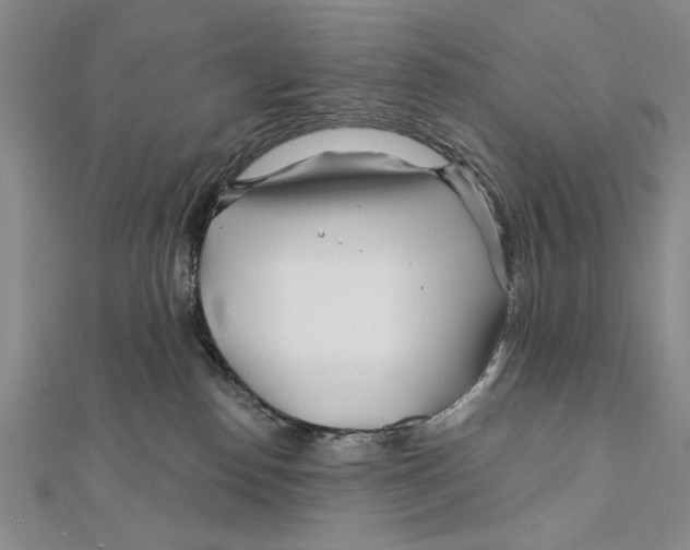 X0000111670186200908141437