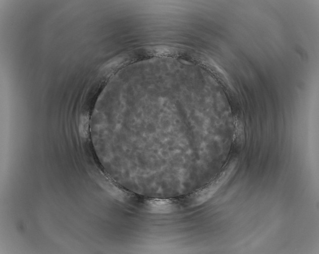 X0000111670189200908141437