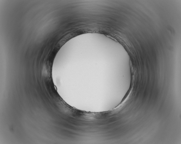 X0000111670190200908141437