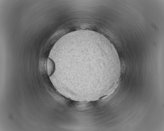 X0000111670191200908141437